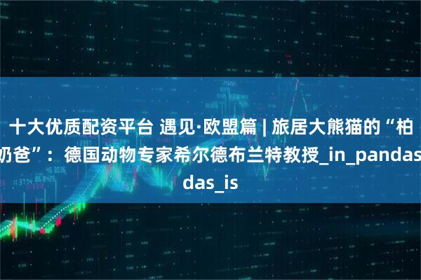十大优质配资平台 遇见·欧盟篇 | 旅居大熊猫的“柏林奶爸”：德国动物专家希尔德布兰特教授_in_pandas_is