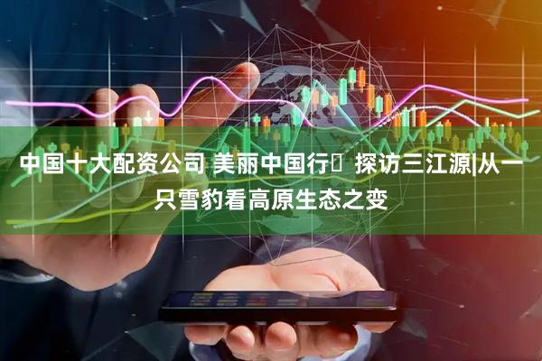 中国十大配资公司 美丽中国行・探访三江源|从一只雪豹看高原生态之变