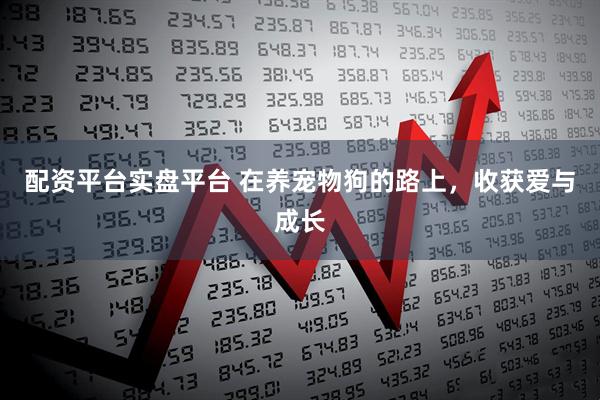 配资平台实盘平台 在养宠物狗的路上，收获爱与成长